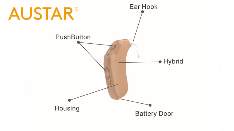 Hearing aid structure description