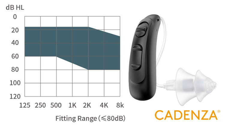 80dB Power Rechargeable Hearing Aids