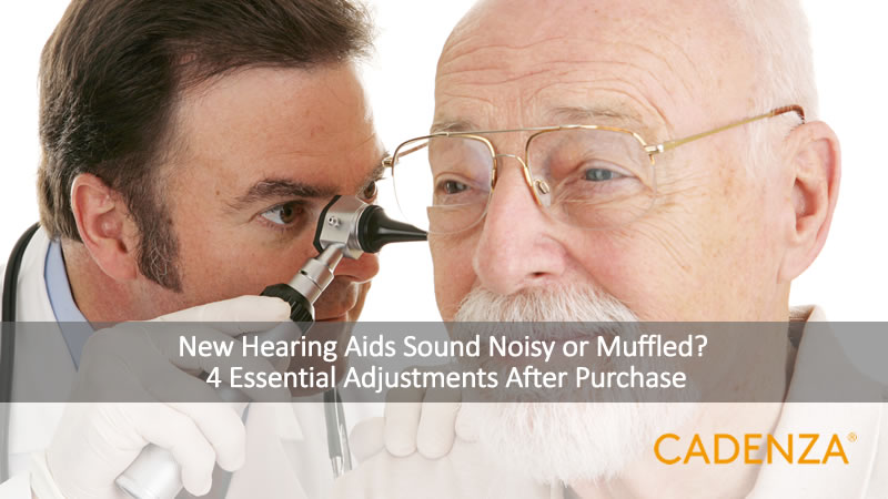 A professional specialist conducting a follow-up hearing aid check and sound adjustment for a senior user