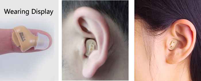 hearing aid wearing display